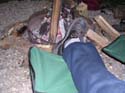 Camping Trips -> May Long Weekend, 2003 -> Picture 173