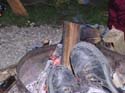 Camping Trips -> May Long Weekend, 2003 -> Picture 174