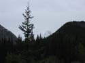 Camping Trips -> September 1-3, 2004 -> Picture 51