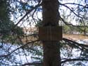Chosen One -> Fall Retreat 2004 -> Picture 58