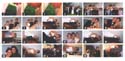 Flett Wedding -> Official -> Picture 7