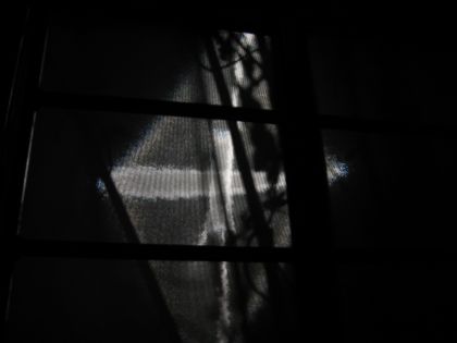 Moonlight through the bathroom window