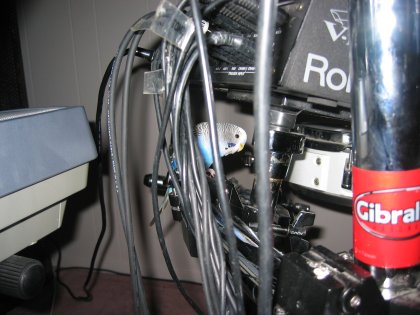 My blue birdie hiding under the drum brain