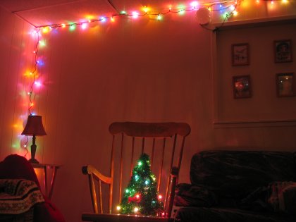 My Christmas tree rocks! huh huh