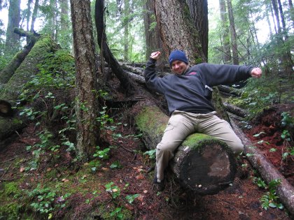 Tree rodeo