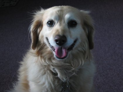 BJ Smiling