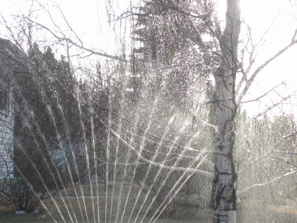 April Showers