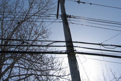 Power Lines and a Tree
