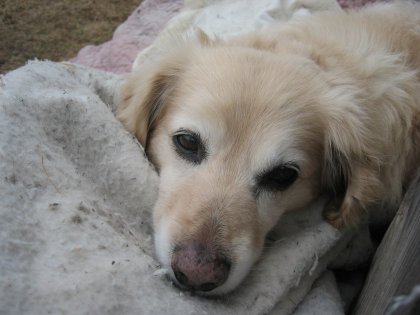 It's hard to admit but he is getting to be very old