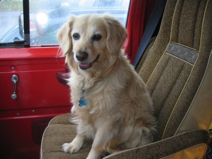 Such a cute puppy