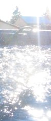 Bright Water