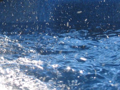 Sparkling New Spa Water