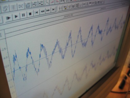 Digital Audio Waveform