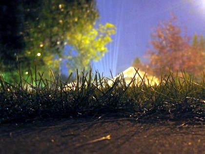 Night Sprinkler