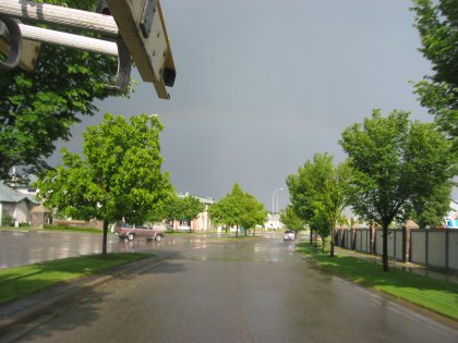 Everything looks so fresh and clean after the rain