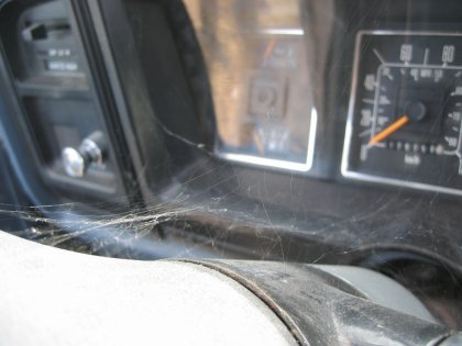 Cobwebs adorning the old blue van