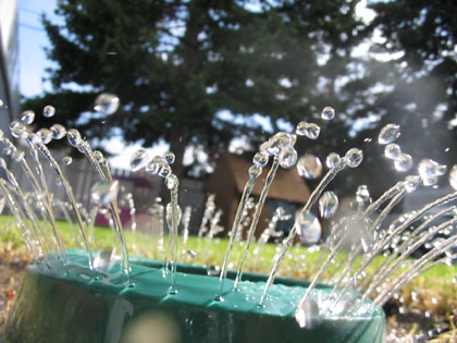 Sprinkler