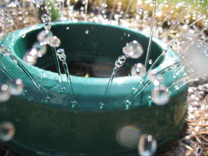 Sprinkler