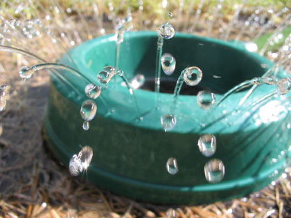 Sprinkler