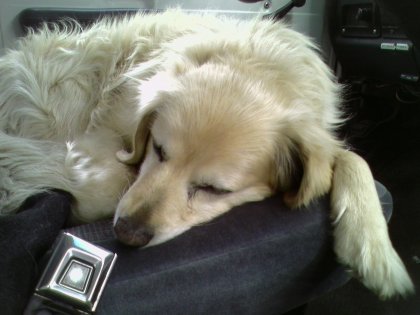 Sleepin on the driver's side