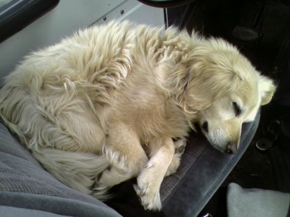 Sleepy Driver