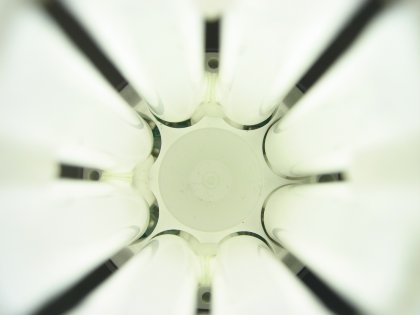 What is it?