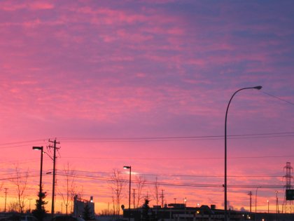 A purple chinook in Calgary