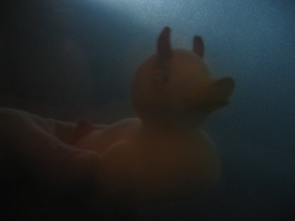 Lurking Diana, the diving devil duck