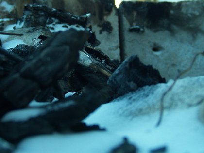 Firepit Ashes