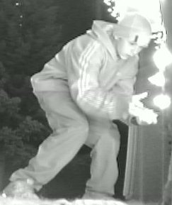 More Christmas Lightbulb Thieving
