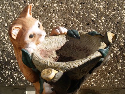 Bird Bath with a Trap