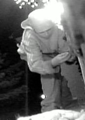 Images of the kids stealing my Christmas lights