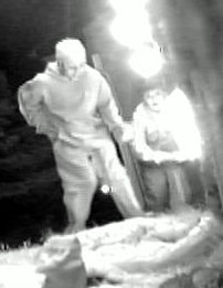 Images of the kids stealing my Christmas lights