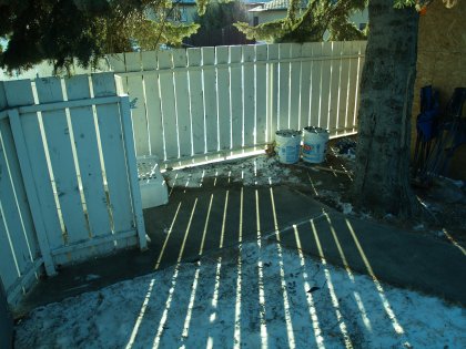 Fence Lines