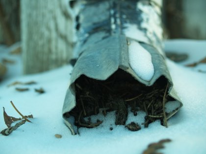 Gutter Spout