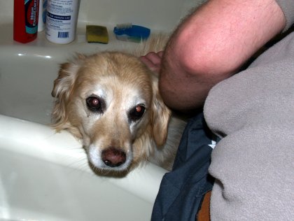 A Sad Bather