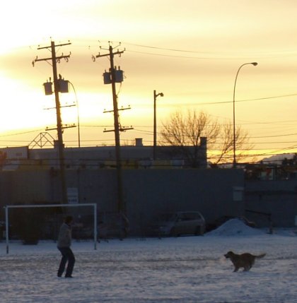 Playing Fetch At Sunset