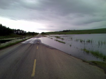 The water levels are high this year...