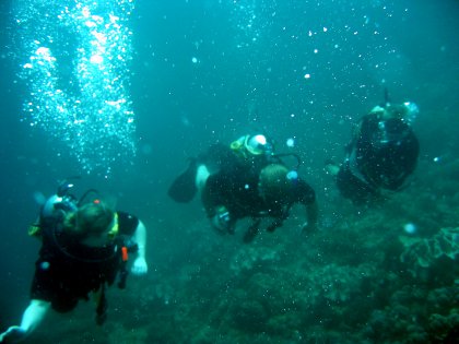 Scuba Divers