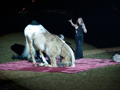 Praying horse