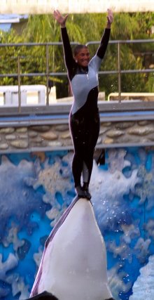 Standing on a killer whale