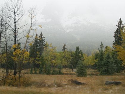 Fall Drive-By