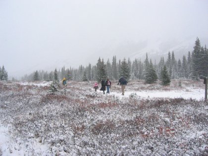 Into the Wilderness