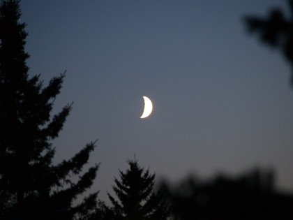 Moonlight