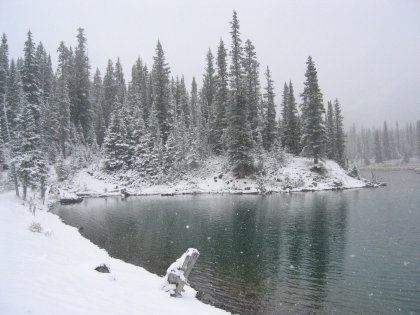 Pine Point