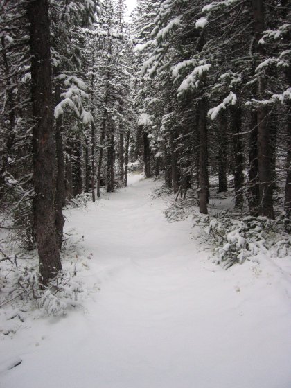 Snowy Mountain Path