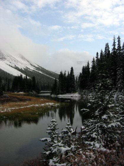Winding mountain stream
