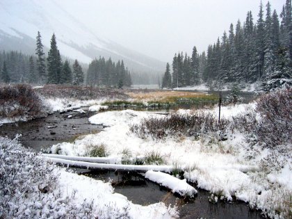 Winding River