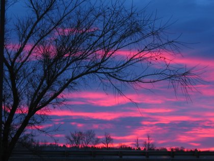 Fiery Sunrise