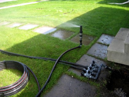 Playing with the sprinkler